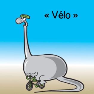 « Vélo »